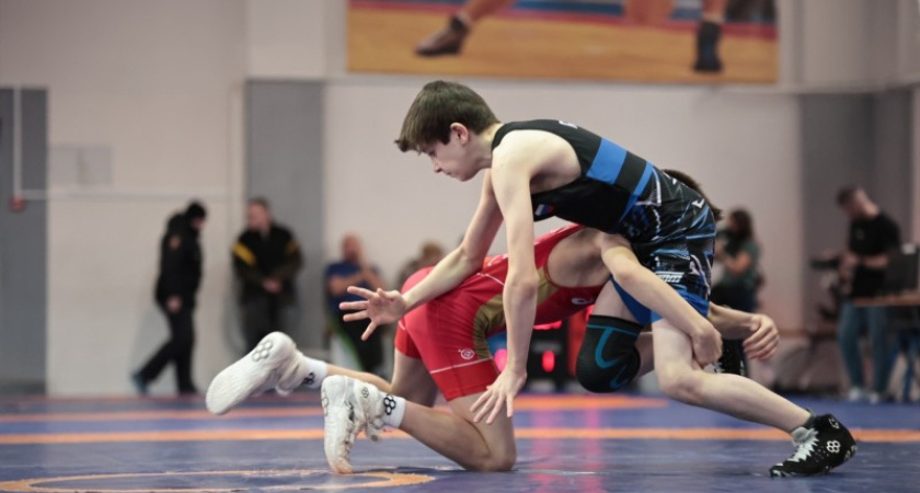 Юные борцы из Коми триумфально выступили на первенстве СЗФО