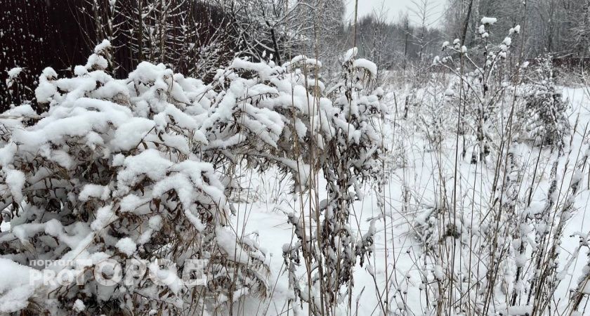 В Коми 17 января потеплеет до -7 градусов 