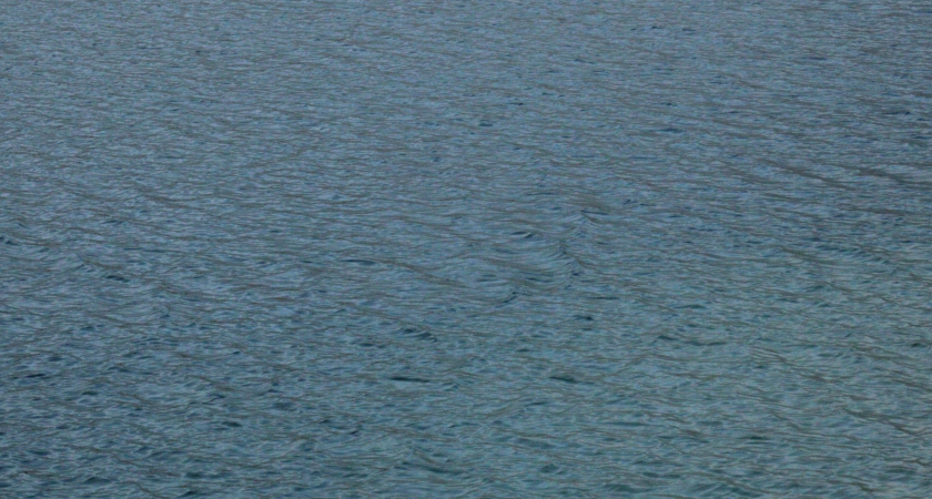 В Коми снизилось число происшествий на воде, но смертность выросла