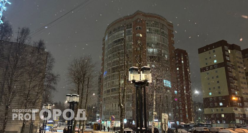 В Республике Коми 19 января потеплеет до -5 градусов 