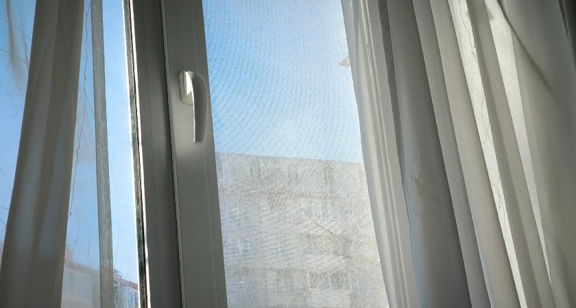 Ставлю на подоконник одну вещь – есть в каждом доме, становится тепло даже в лютый мороз и пахнет сибирским лесом