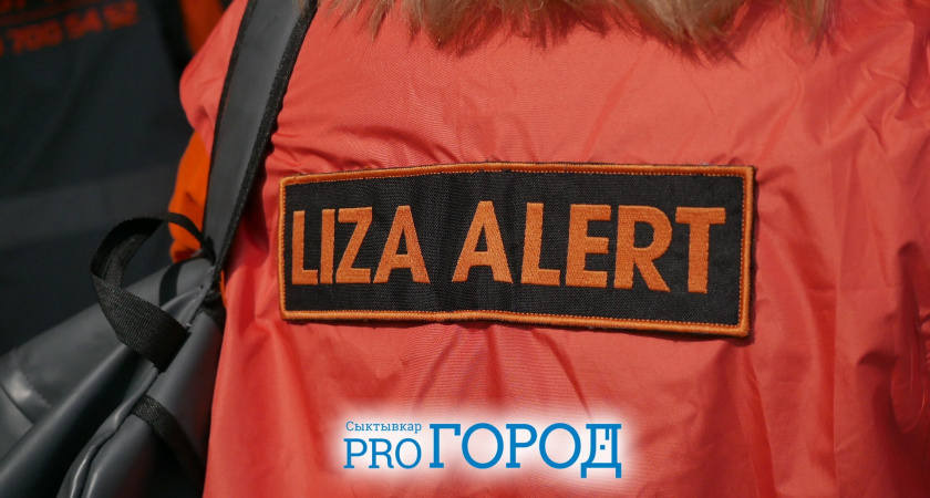 В Коми волонтеры "ЛизаАлерт" разыскали 177 пропавших без вести в 2025 году