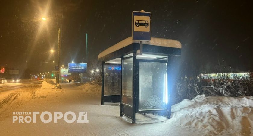 В Сыктывкаре женщина присвоила забытый на остановке телефон 