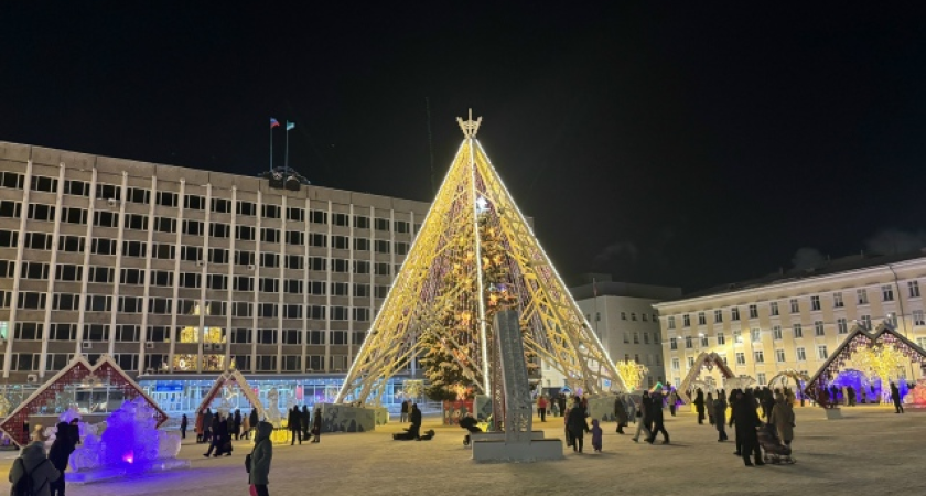 Республику Коми накроет снегом и ветром: прогноз погоды на 25 января