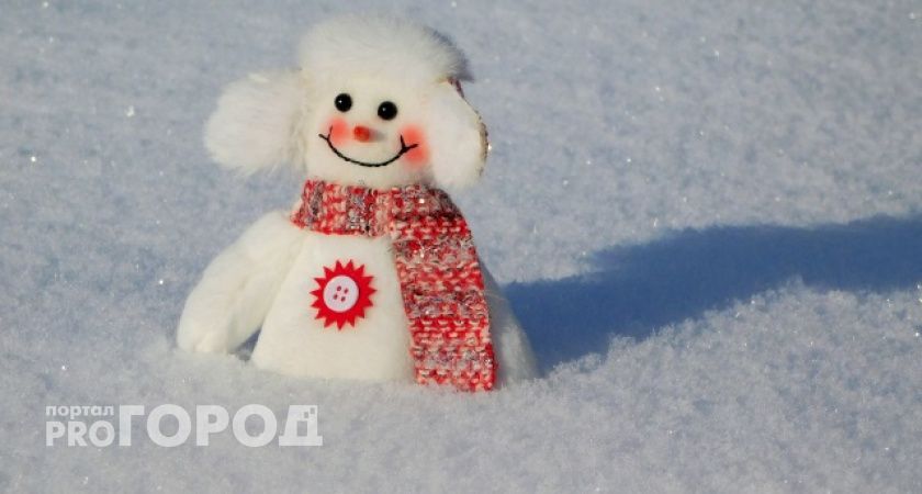 В Республике Коми 26 января ожидается снежная погода и мороз до -23 градусов 