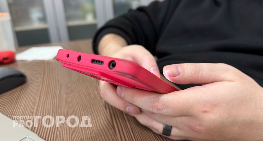 Жительница Сыктывкара лишилась почти 30 тысяч рублей из-за беспечности сына