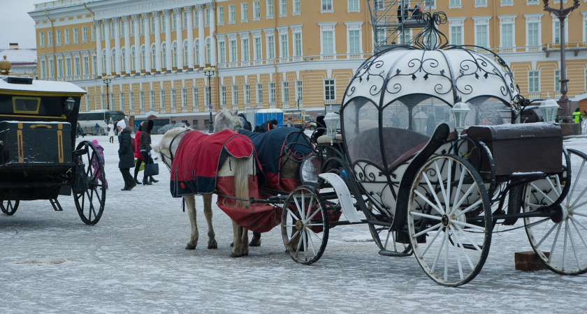 Поехали в Питер на 9 дней: по приезду подсчитали сколько потратили и обомлели – честный отзыв туриста, как легко сэкономить