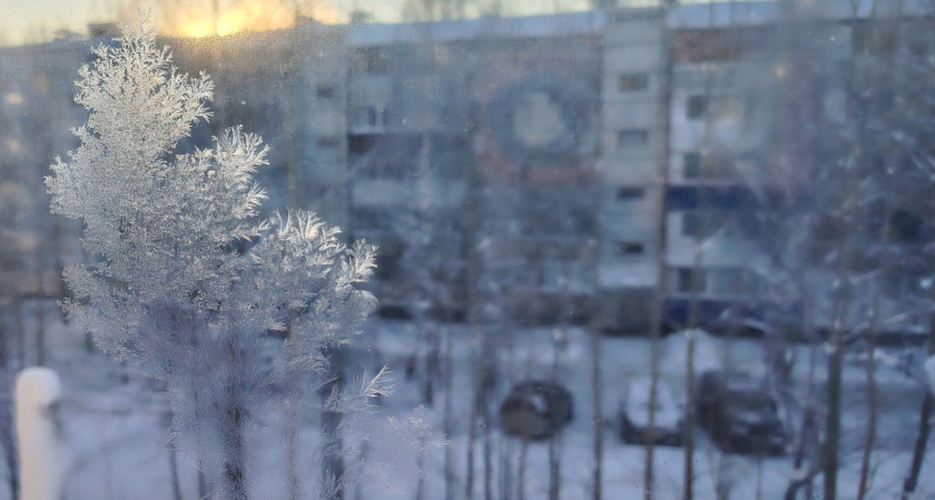 Почему не стоит помогать взрослым детям: мудрые слова психиатра Фредерика Перлза, которые должен услышать каждый родитель