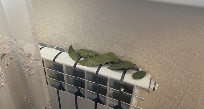 Зимой кладу листик лаврушки на батарею - и все не нарадуюсь. И муж, и дети заметили как хорошо теперь дома