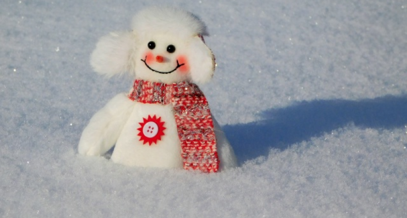 Коми ждет холодный февраль