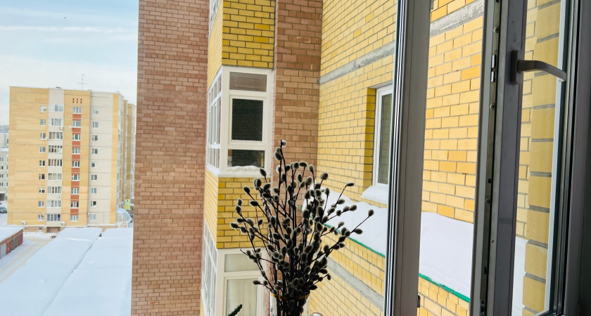 Сыктывкарцам пояснили, как в морозы использовать окна в квартире