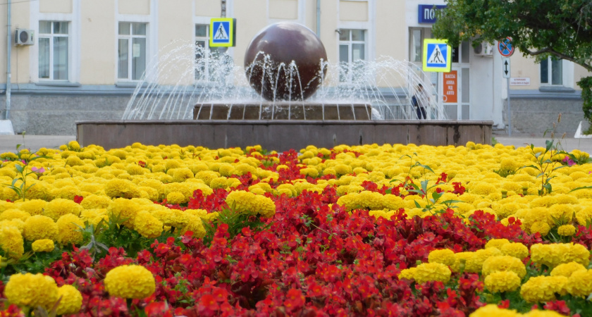 Секретная звезда клумбы: редкий многолетник цветёт даже в +35 градусов без ухода и полива