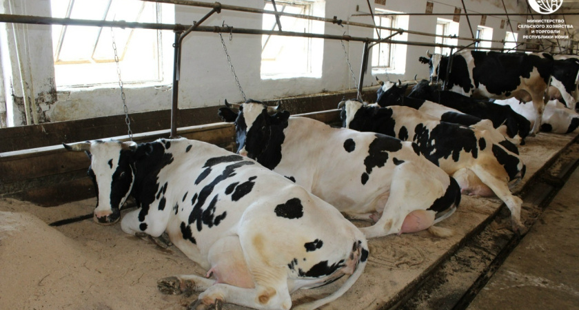 В Коми поддержат инвестпроекты в АПК: новые фермы и тысячи тонн молока