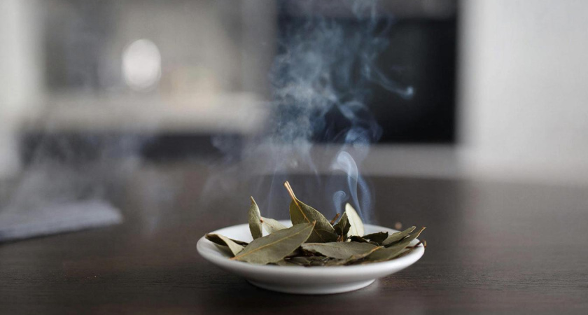 Каждый вечер жгу дома лавровый лист — и радуюсь своей смекалке как ребенок: вот как в быту выручает