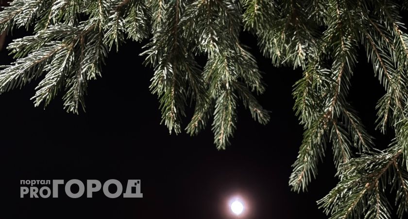 На новой неделе в Коми ожидаются аномальные морозы до -38 градусов 