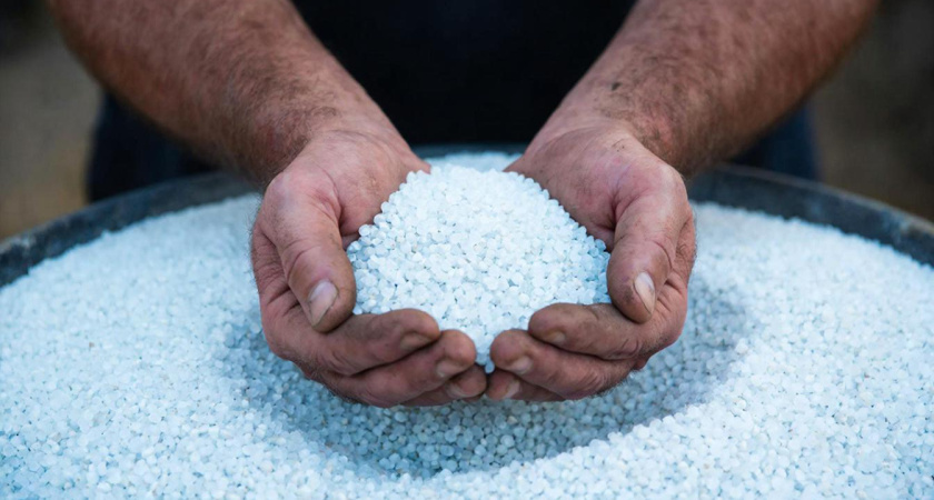 Агроном Алексей Петрович меня «ошарашил» — рассказал, что нельзя класть в рассаду при посадке томатов