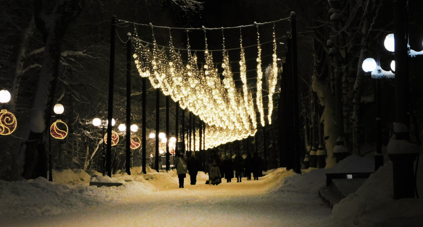 В Сыктывкаре новогоднюю иллюминацию в Кировском парке решили не убирать весь год 