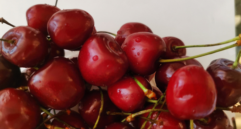 1 стакан под дерево — и вишня с грецкий орех: на вкус как чистый мед, а не вишня