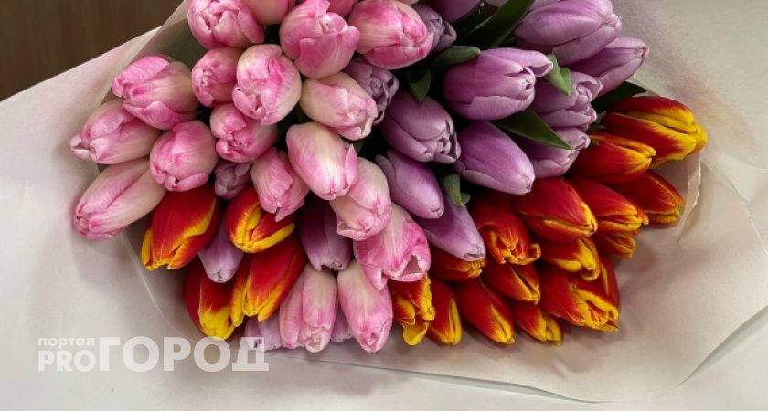 Каждый шестой житель Сыктывкара намерен отмечать День святого Валентина