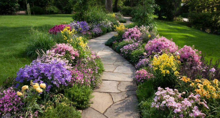 Не клумба, а мечта ленивца: цветут без полива и ухода — идеальные растения для "дачи выходного дня"