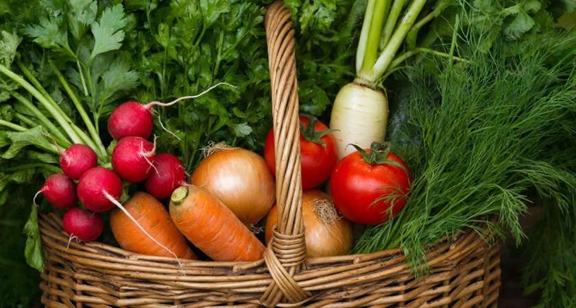 Полный огород урожая уже в мае. Что успеть сеять в феврале на рассаду