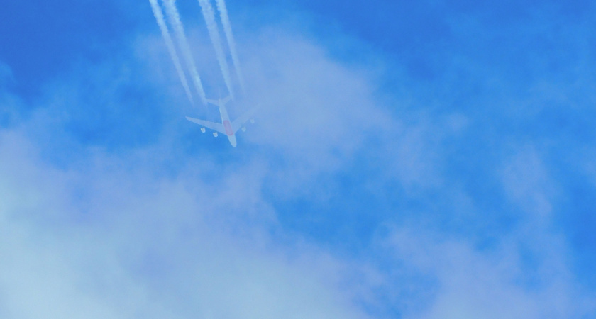 Слетала с подругой в Питер на два дня: зареклась, что больше не вернется никогда