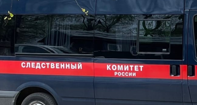 Житель Сыктывкара до смерти избил знакомого в квартире