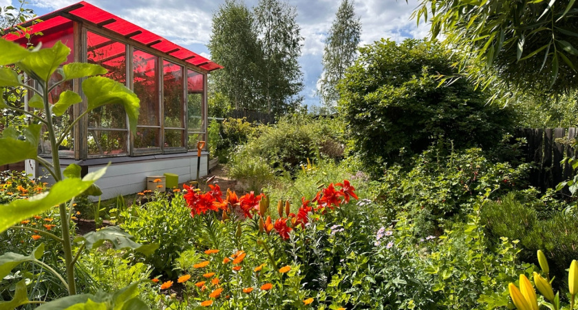 10 растений, которые я больше никогда не посажу и вам не советую