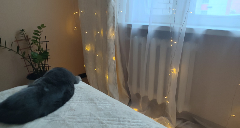 Берем 1 рулон фольги — и дом прогревается за полчаса, даже когда за окном мороз −40