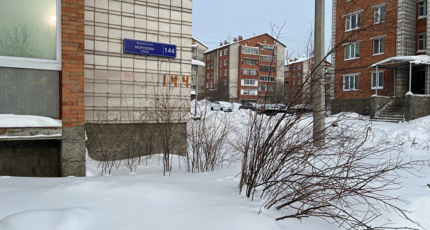 В Сыктывкаре жильцы спилили деревья во дворе без разрешения