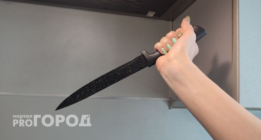 Жительница Коми осуждена за нанесение ножевых ранений соседке, пришедшей помочь