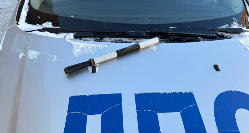 Обязан ли водитель ждать, пока пешеход перейдет дорогу, или можно ехать сразу