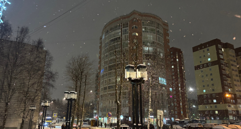 В День защитника Отечества Коми ждут снегопад, метель и гололедица