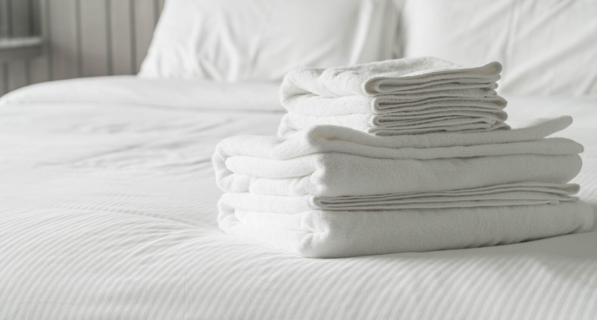 Просто разложить растение и протереть — и постельные клопы сбегут из дома навсегда: как изгнать гадких вредителей