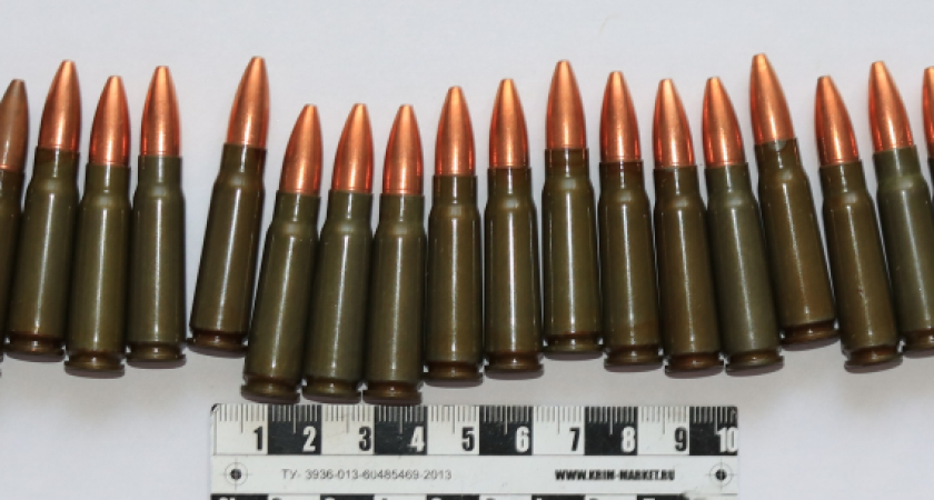 Полиция Сыктывкара изъяла более 100 патронов у жителя Коми