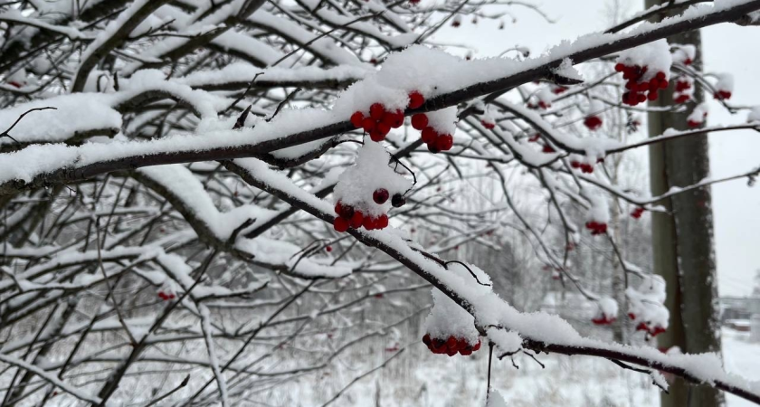 Синоптики рассказали о погоде в Коми на 1 марта
