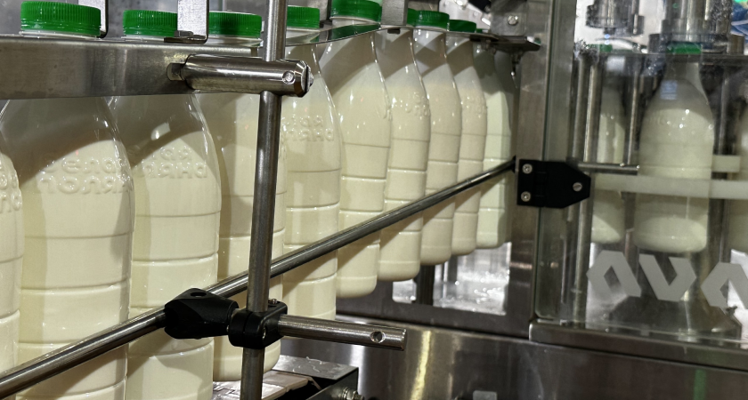 В Коми молочников в 2026 году поддержат рекордными 524 миллионами рублей