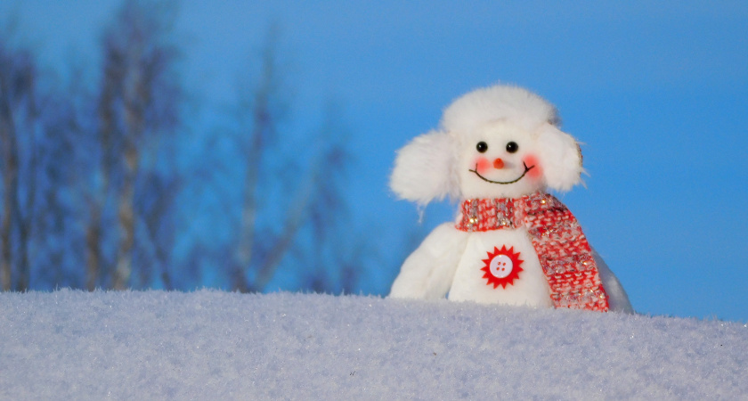 В Коми придут аномально низкие температуры до -42 градусов 