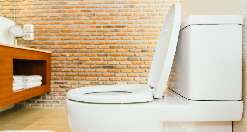 Японцы садятся на унитаз лицом вперед — и вот почему: причина поражает — но логика в этом есть