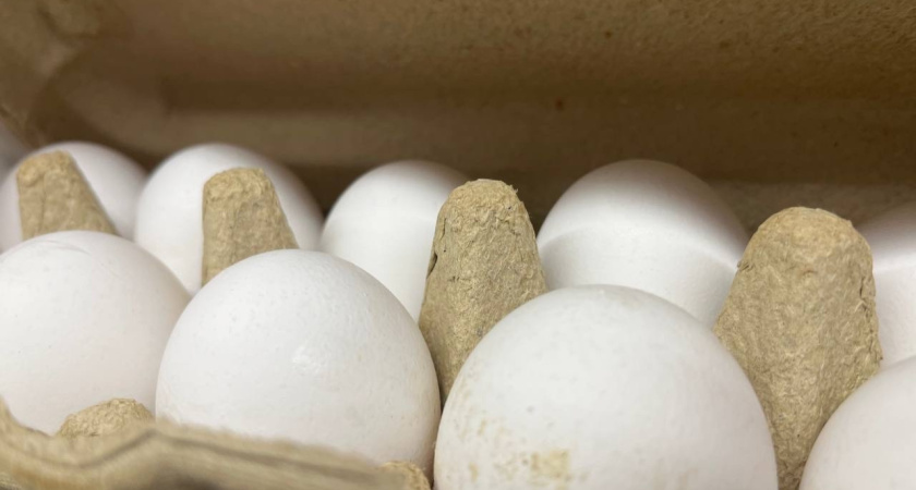 Взял попробовать яйца по 69 рублей в «Чижике»: только дома выяснил, какие они – честный отзыв