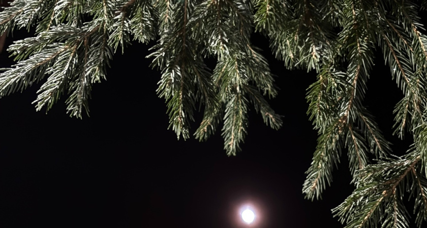 В Республике Коми ожидаются морозы до -38 градусов: синоптики рассказали о погоде на 5 марта