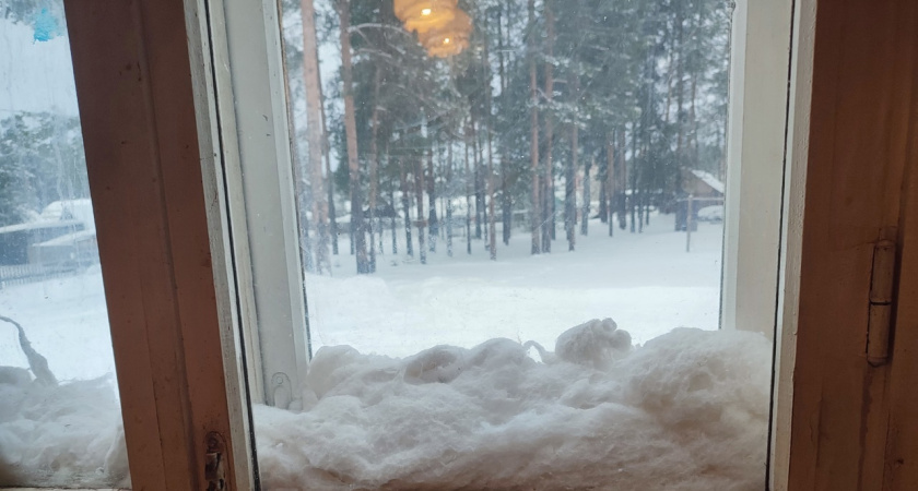 Окна чище, чем после клининга: знакомая уборщица поделилась простыми трюками