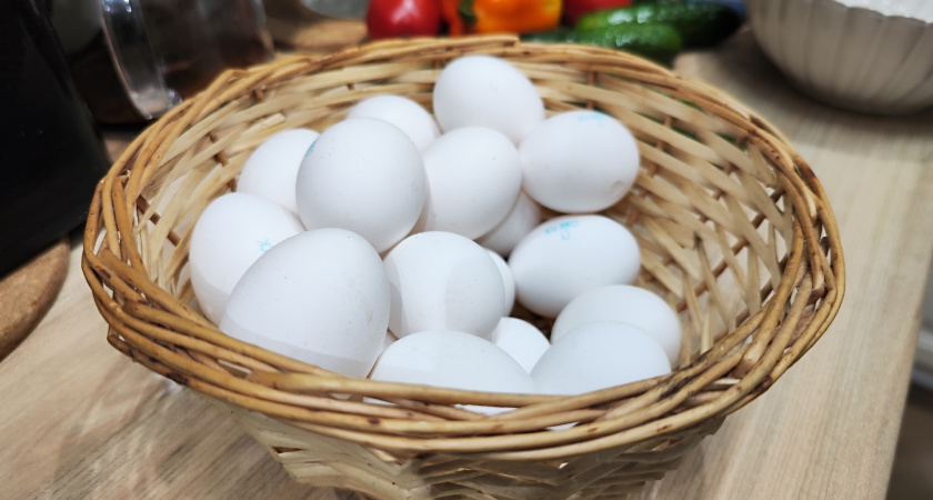 Зачем копить яичную скорлупу для огорода: простые способы применения без заморочек