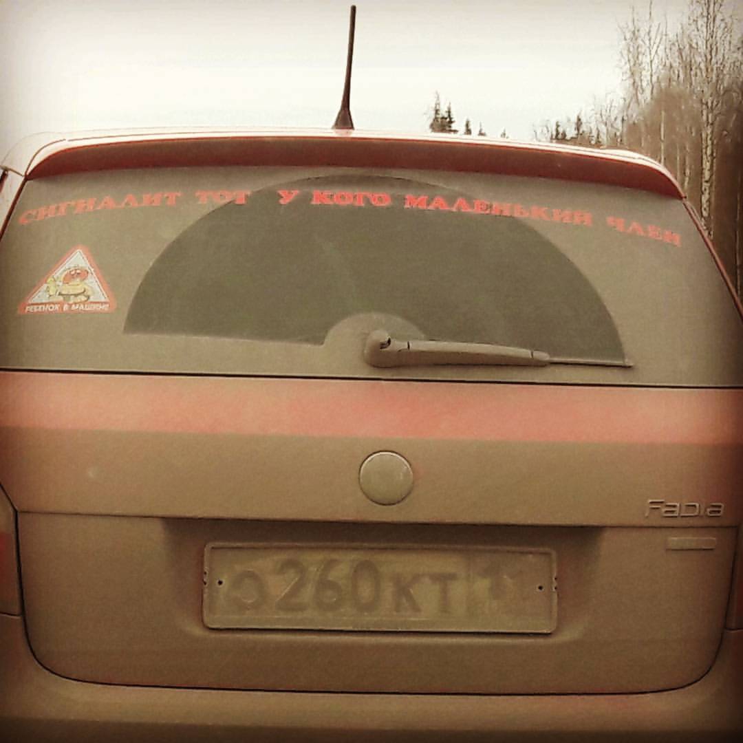 Сыктывкарская автоледи приклеила на машину дерзкую наклейку про мужчин с маленькими размерами