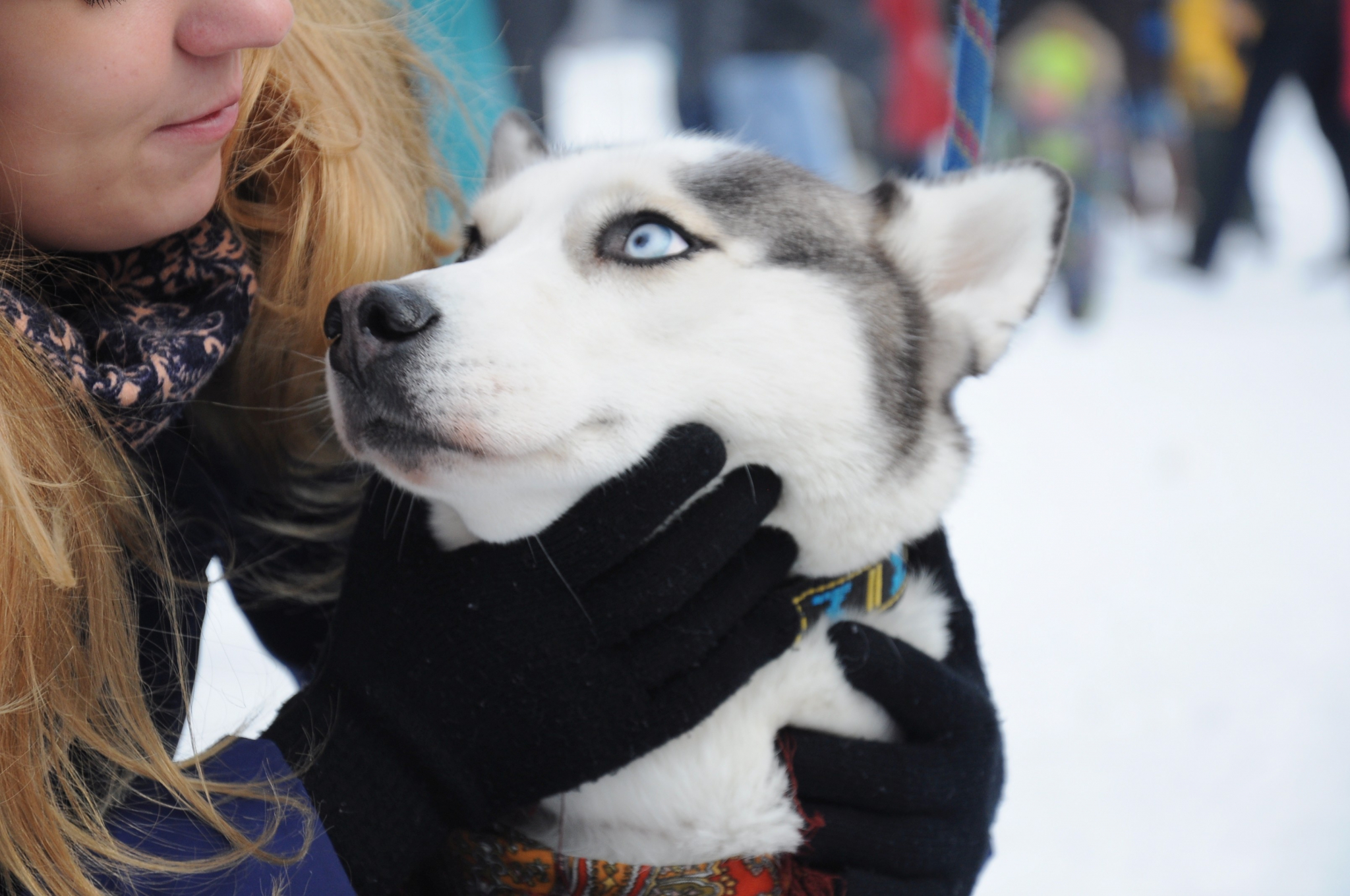 Погода в Сыктывкаре на 9 мая: ожидается снег с дождем