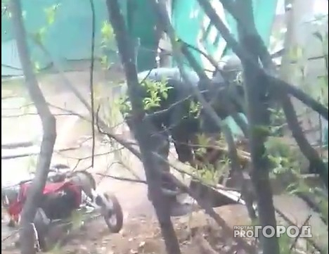 Бомжи воруют металлолом со стройки в центре Сыктывкара (видео)
