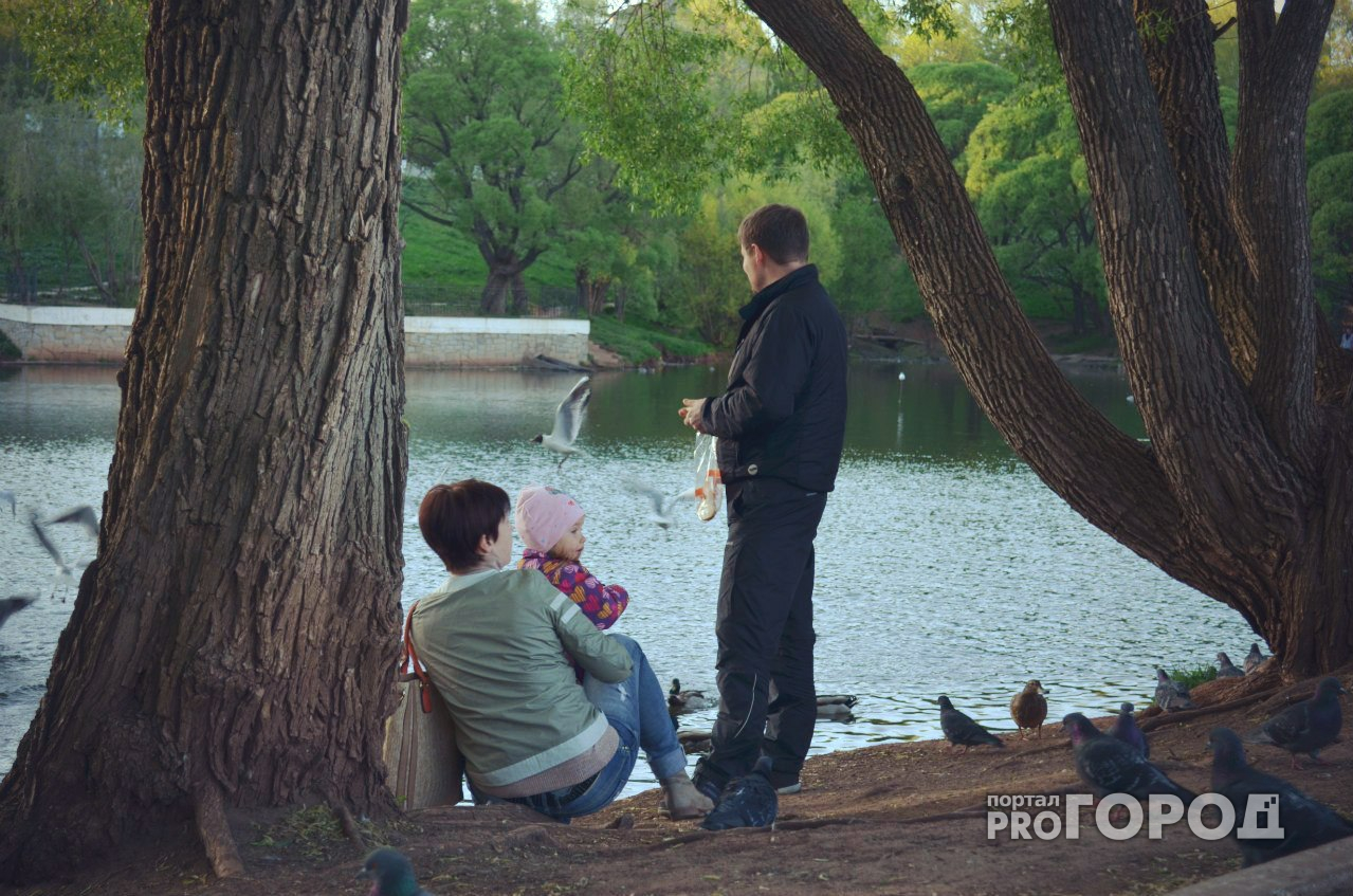 Погода на 11 июня: будет немного облачно