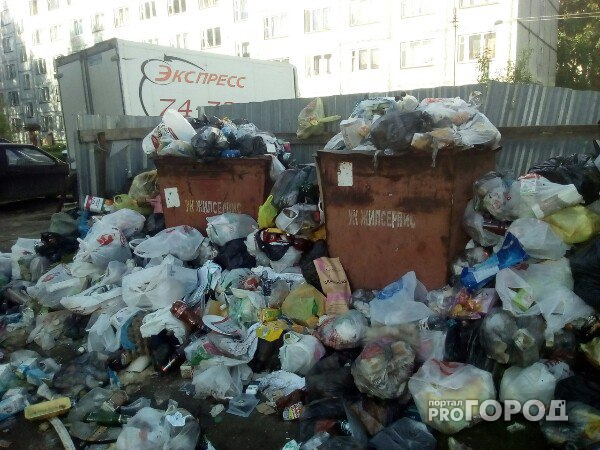 В мэрии Сыктывкара рассказали, почему город погряз в мусоре