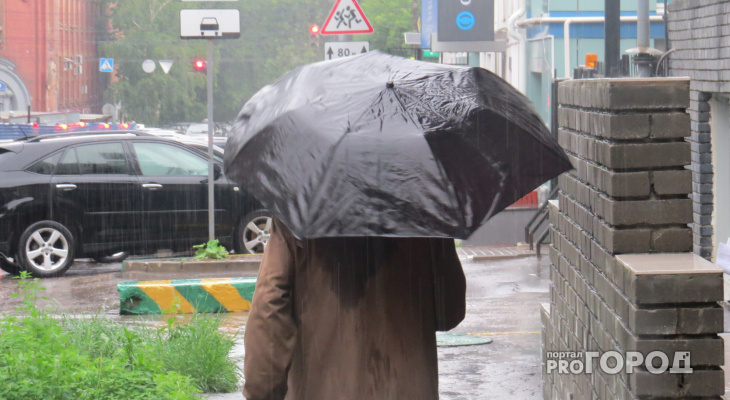 Погода в Сыктывкаре на 6 июля: неужели опять дождь?