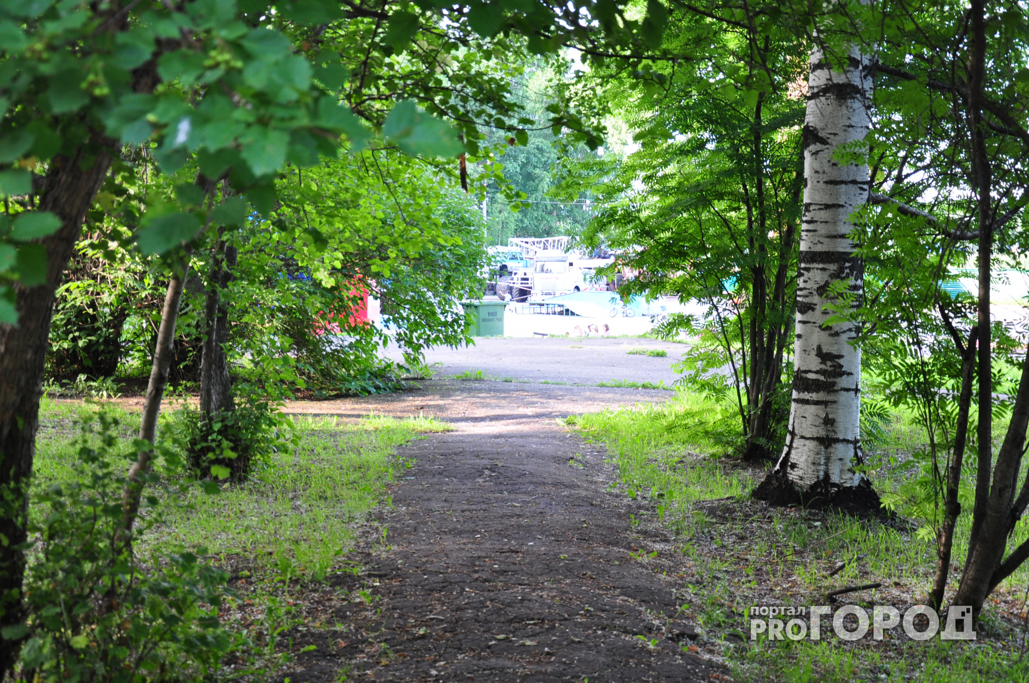 Погода в Сыктывкаре на 13 июля: в город пришла жара